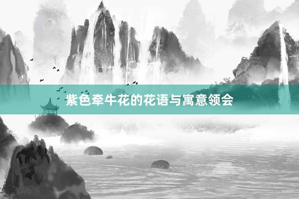 紫色牵牛花的花语与寓意领会